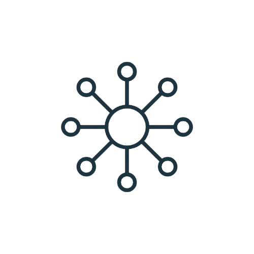 Icon of a central node with multiple branches on a white background